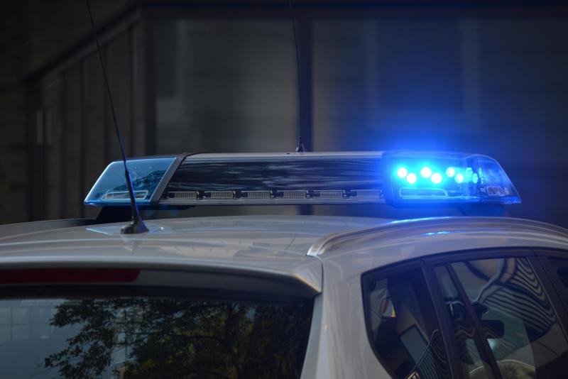 Policja Łódź - Zdjęcie podglądowe artykułu